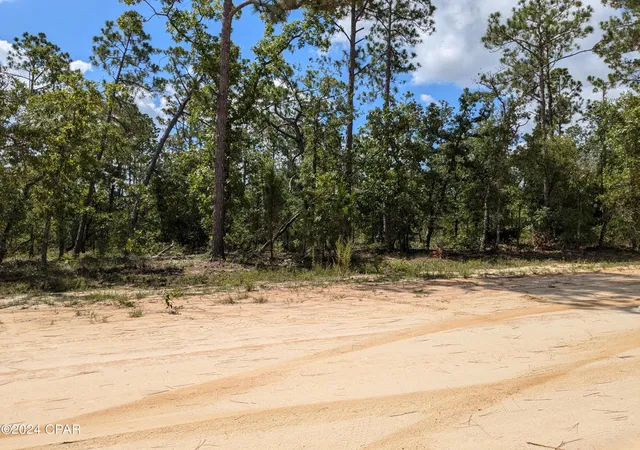 3rd image of 0 Fredrica Dr, Alford, FL 32420 | MLS# 759482