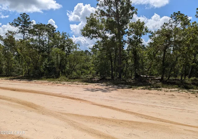 4th image of 0 Fredrica Dr, Alford, FL 32420 | MLS# 759482