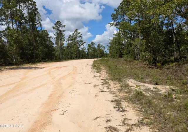 5th image of 0 Fredrica Dr, Alford, FL 32420 | MLS# 759482