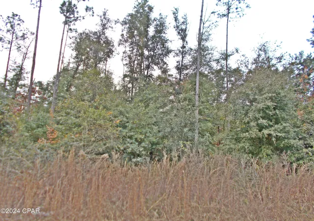 1st image of 00 Green Rd, Greenwood, FL 32443 | MLS# 766329