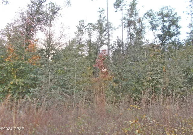 2nd image of 00 Green Rd, Greenwood, FL 32443 | MLS# 766329
