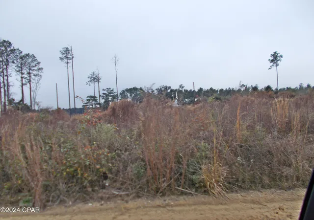 2nd image of 0 Sweet Pond Rd, Greenwood, FL 32443 | MLS# 766336