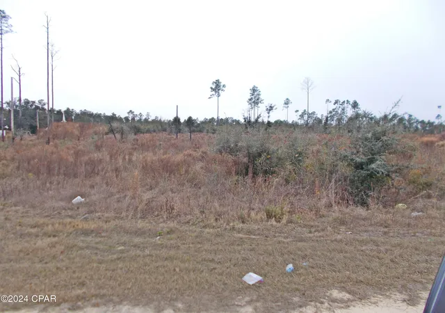 4th image of 0 Sweet Pond Rd, Greenwood, FL 32443 | MLS# 766336