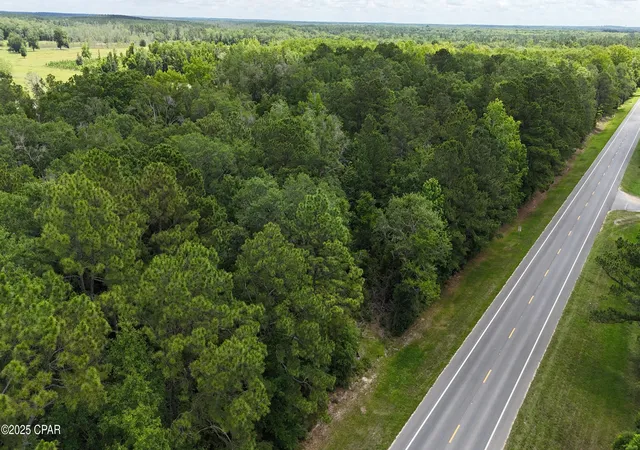 3rd image of 00 E Hwy 90, Bonifay, FL 32425 | MLS# 774470