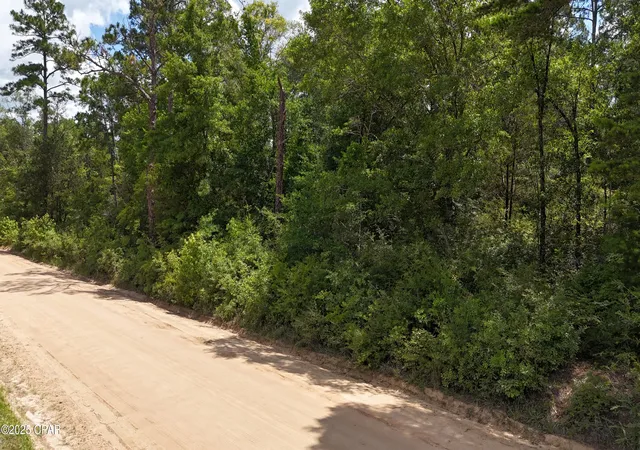 5th image of 00 E Hwy 90, Bonifay, FL 32425 | MLS# 774470