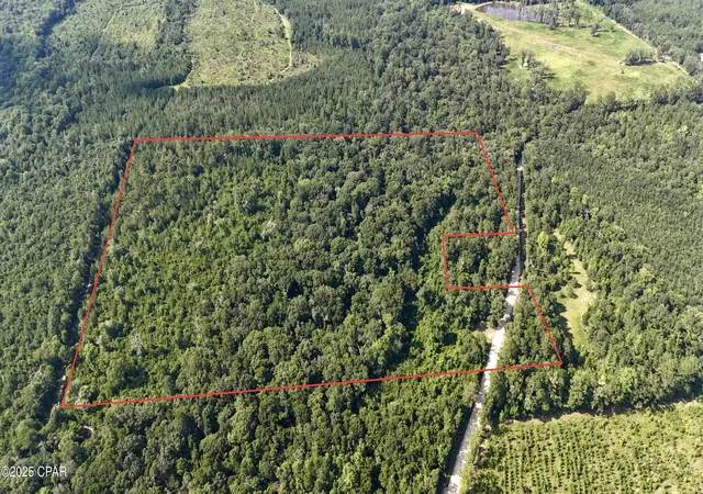 1st image of 37+acres Ten Mile Rd, Bonifay, FL 32425 | MLS# 775990