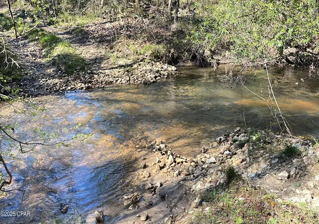 2nd image of 37+acres Ten Mile Rd, Bonifay, FL 32425 | MLS# 775990