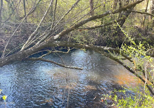 3rd image of 37+Acres Ten Mile Rd, Bonifay, FL 32425 | MLS# 775990