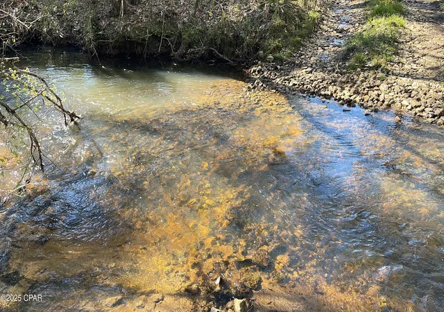 4th image of 37+Acres Ten Mile Rd, Bonifay, FL 32425 | MLS# 775990