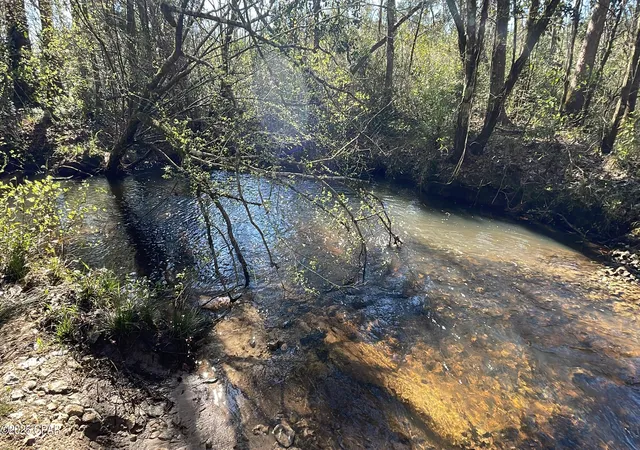 5th image of 37+acres Ten Mile Rd, Bonifay, FL 32425 | MLS# 775990