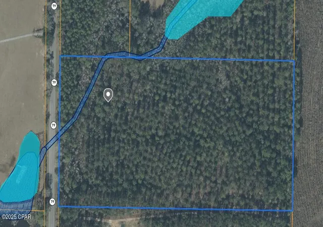 Homes for sale in Bonifay, FL | 00 N Hwy 79 North, Bonifay, FL 32425 | MLS# 774411