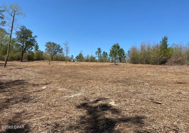 Homes for sale in Vernon, FL | 0 Holmes Valley Rd, Vernon, FL 32462 | MLS# 743189