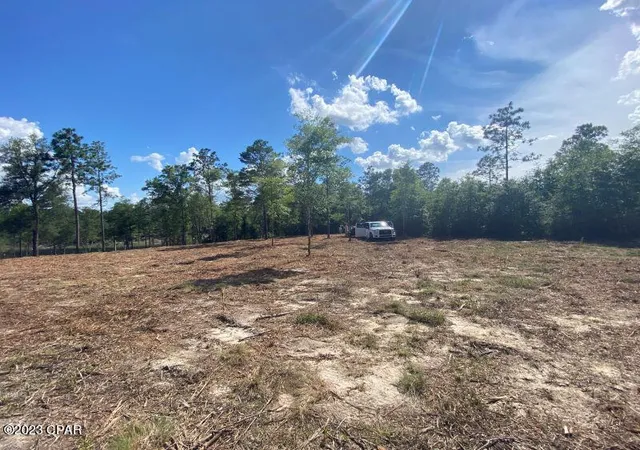 Homes for sale in Vernon, FL | 0 Holmes Valley Rd, Vernon, FL 32462 | MLS# 743189