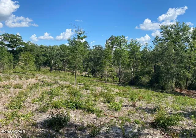 Homes for sale in Vernon, FL | 0 Holmes Valley Rd, Vernon, FL 32462 | MLS# 743189