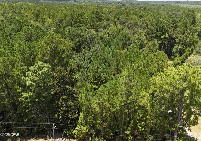Homes for sale in Bonifay, FL | 1794 Hwy 79, Bonifay, FL 32425 | MLS# 776497