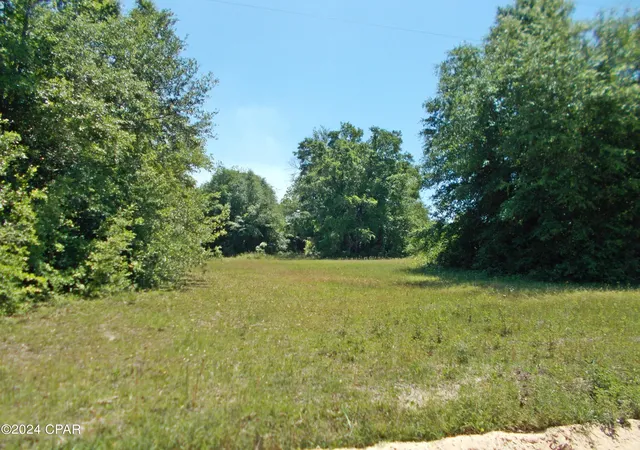 4th image of 2 Ac Melon Ln, Grand Ridge, FL 32442 | MLS# 756111