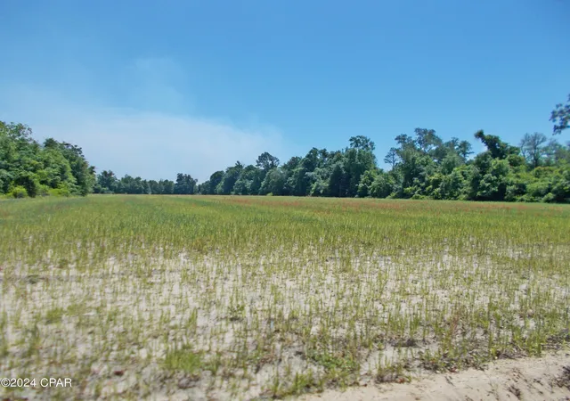 5th image of 2 Ac Melon Ln, Grand Ridge, FL 32442 | MLS# 756111