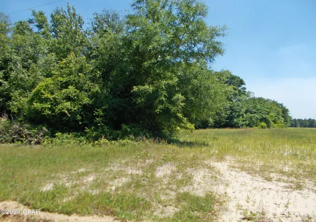 1st image of 1ac Melon Ln, Grand Ridge, FL 32442 | MLS# 756112