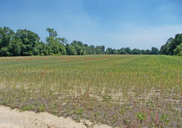4th image of 1ac Melon Ln, Grand Ridge, FL 32442 | MLS# 756112