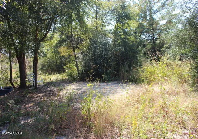3rd image of 4667 Nw Lake Shore Blvd, Altha, FL 32421 | MLS# 764642