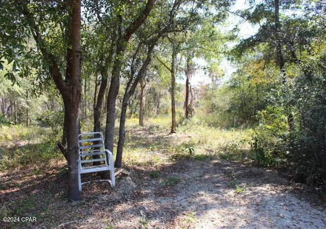 4th image of 4667 Nw Lake Shore Blvd, Altha, FL 32421 | MLS# 764642