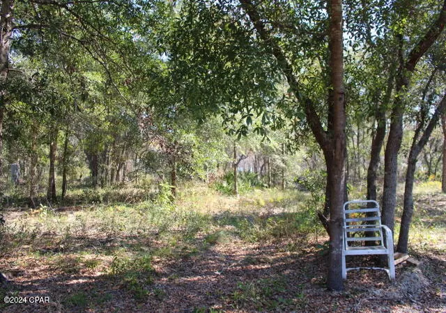 5th image of 4667 Nw Lake Shore Blvd, Altha, FL 32421 | MLS# 764642