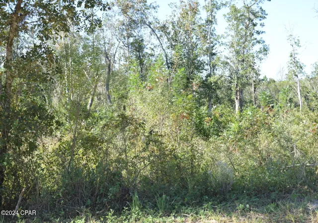 Photo 2 of Land for sale at 10450 River Alley Rd, Youngstown, FL 32466 | MLS# 763772 | Listing updated on 2026-06-15