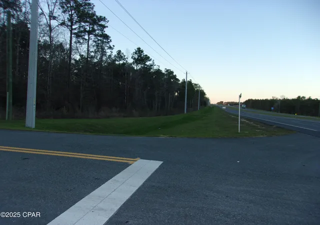 Homes for sale in Bonifay, FL | 000 S Hwy 79, Bonifay, FL 32425 | MLS# 769138