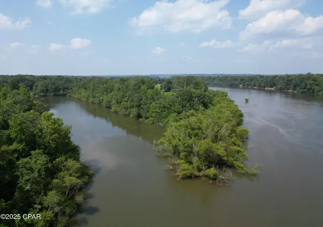 Photo 3 of Land for sale at 8599 Gadsen Trl, Sneads, FL 32460 | MLS# 776839 | Listing updated on 2026-09-26