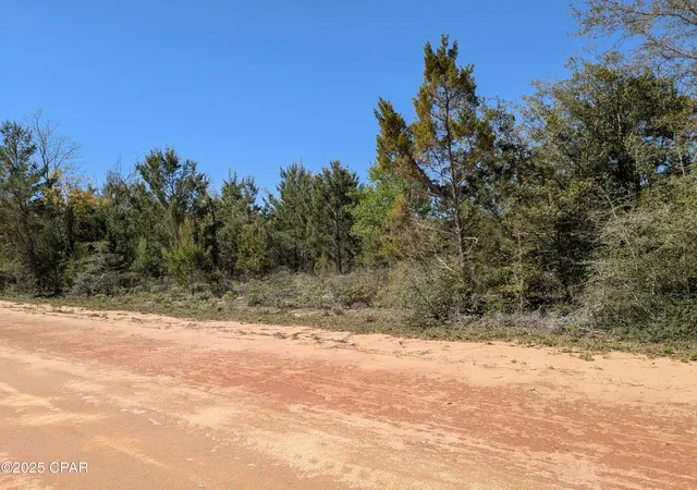 1st image of 0 Joy, Marianna, FL 32448 | MLS# 769125