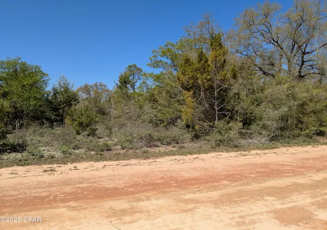 2nd image of 0 Joy, Marianna, FL 32448 | MLS# 769125