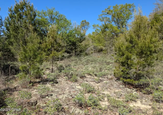 Photo 3 of Land for sale at 0 Joy, Altha, FL 32421 | MLS# 769125 | Listing updated on 2026-05-30