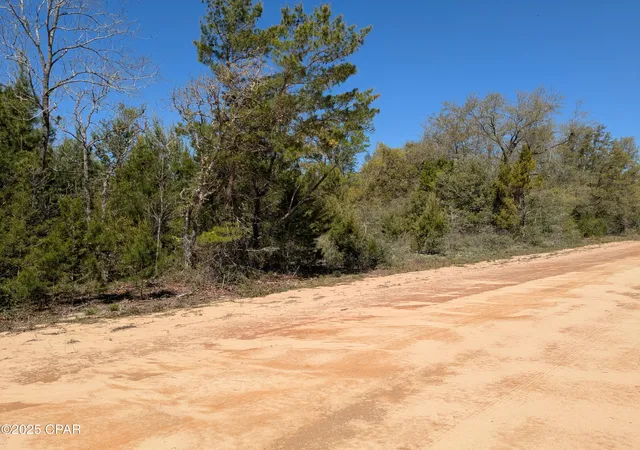 4th image of 0 Joy, Marianna, FL 32448 | MLS# 769125
