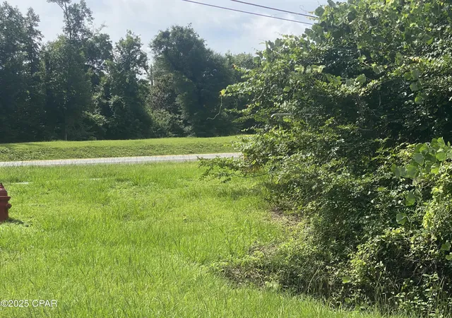 2nd image of 0000 Caverns Rd #12, Marianna, FL 32446 | MLS# 775016
