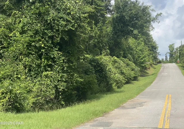 3rd image of 0000 Caverns Rd #12, Marianna, FL 32446 | MLS# 775016