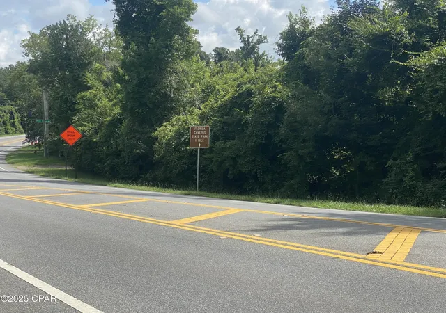 4th image of 0000 Caverns Rd #12, Marianna, FL 32446 | MLS# 775016