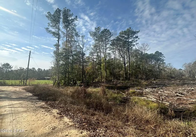 Homes for sale in Bonifay, FL | Tract 6331 Sellers Rd, Bonifay, FL 32425 | MLS# 777842