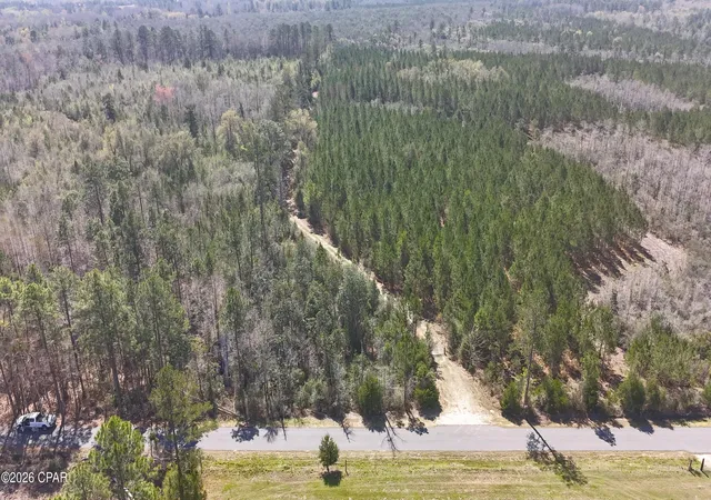 Homes for sale in Caryville, FL | Tract#6416 Brock Road, Caryville, FL 32427 | MLS# 777911