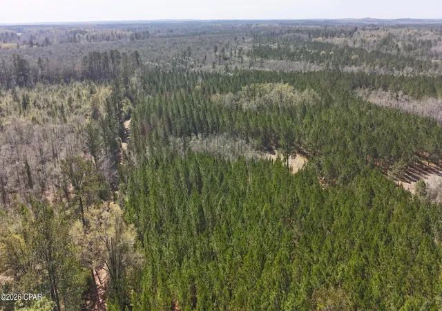 Homes for sale in Caryville, FL | Tract#6416 Brock Road, Caryville, FL 32427 | MLS# 777911