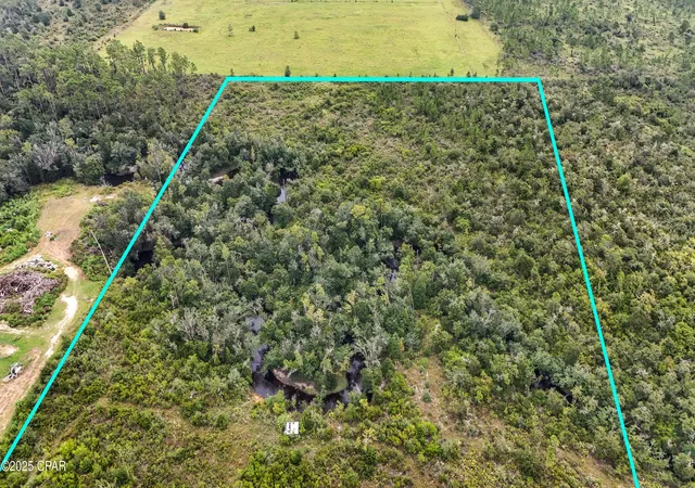 4th image of 0 Jarrott Daniels Rd, Wewahitchka, FL 32465 | MLS# 778414