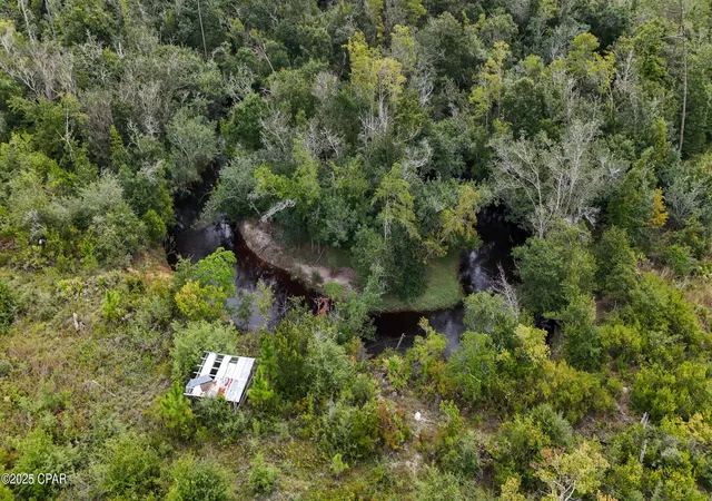 5th image of 0 Jarrott Daniels Rd, Wewahitchka, FL 32465 | MLS# 778414