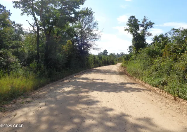 Homes for sale in Vernon, FL | 00 Hightower Rd, Vernon, FL 32462 | MLS# 778807