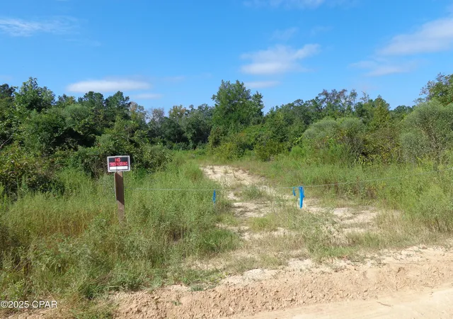 Homes for sale in Vernon, FL | 00 Hightower Rd, Vernon, FL 32462 | MLS# 778807