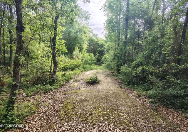1st image of 1414 Hwy 2, Graceville, FL 32440 | MLS# 779116