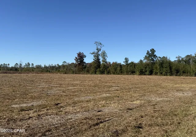 1st image of Lot 1 Hwy 71, Wewahitchka, FL 32465 | MLS# 779182