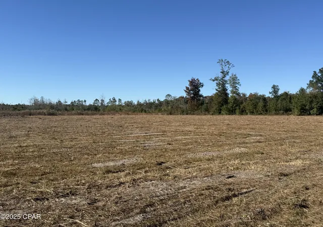 3rd image of Lot 1 Hwy 71, Wewahitchka, FL 32465 | MLS# 779182