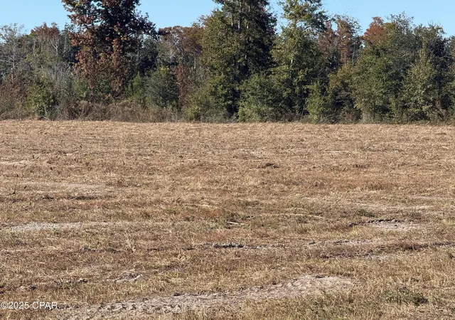 4th image of Lot 1 Hwy 71, Wewahitchka, FL 32465 | MLS# 779182