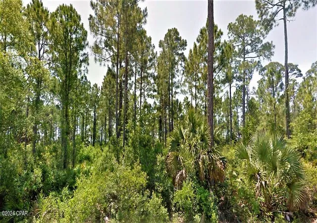 1st image of 1 Cr 30 A, Port St Joe, FL 32456 | MLS# 779227