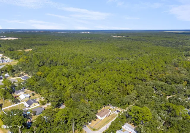 Homes for sale in Freeport, FL | 000 Old Eucheeanna Rd, Freeport, FL 32439 | MLS# 779270