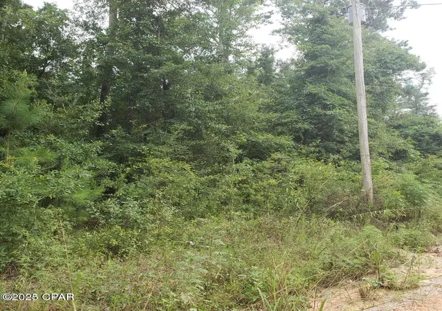 1st image of Xxx Foxworth Rd, Chipley, FL 32428 | MLS# 779284
